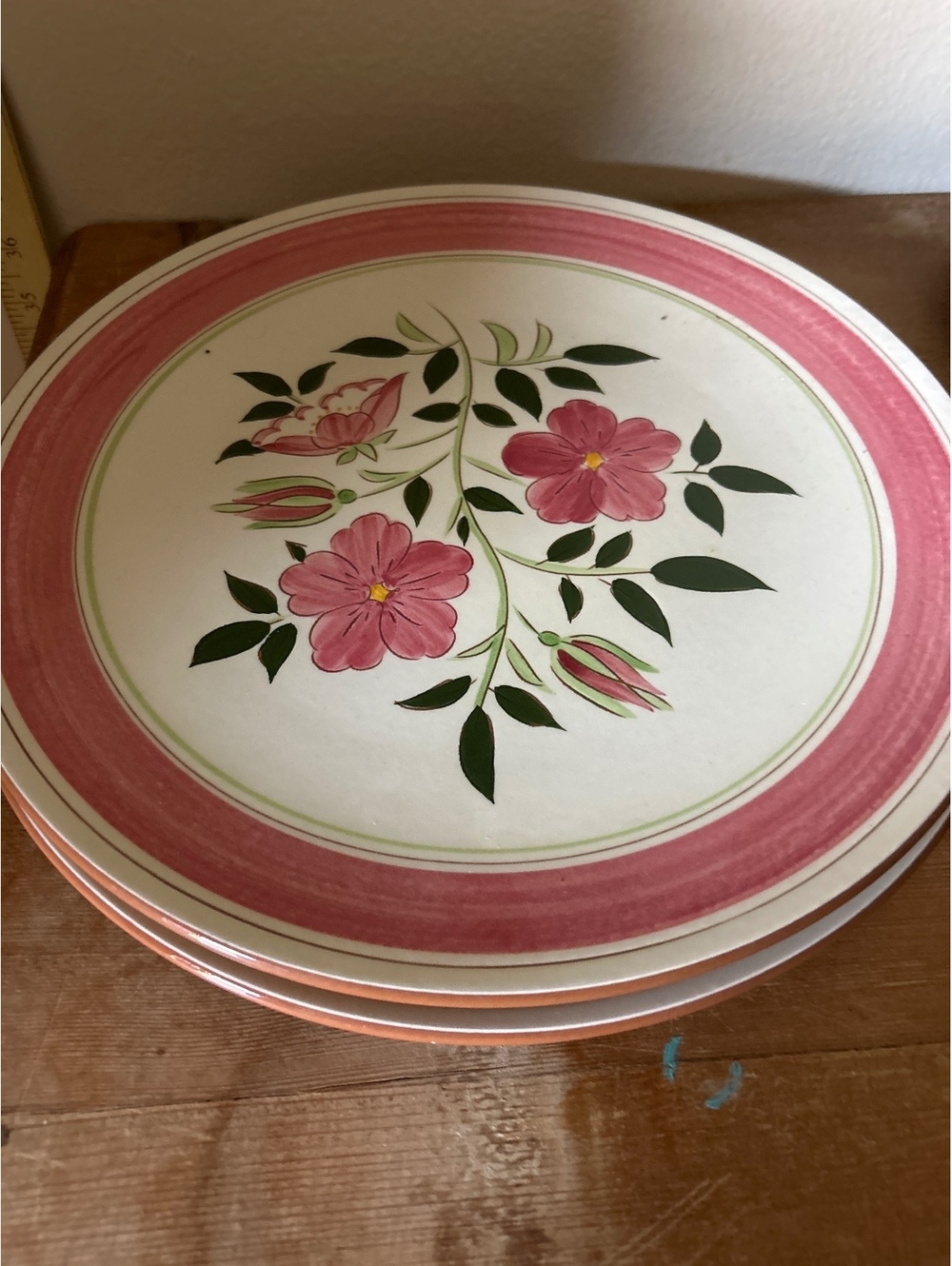 Desert Plates serving 12”